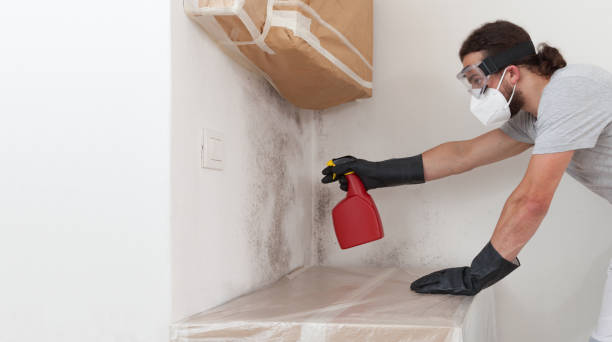 Professional Attic Mold Remediation technician working in Northport, MI